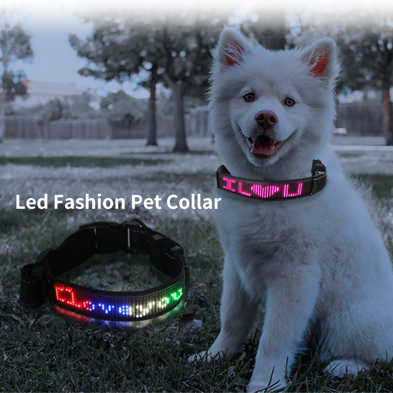 Led APP Controlled Safety  dog collars AIDI-C25P